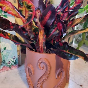 Acquirente Etsy ha aggiunto una foto del proprio acquisto