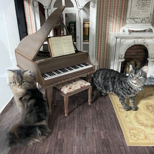 Ana ha añadido una foto de su compra