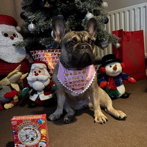 Chloe added a photo of their purchase