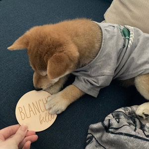 Caroline heeft een foto van de aankoop toegevoegd