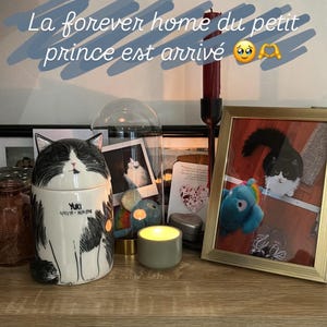 Morgane added a photo of their purchase