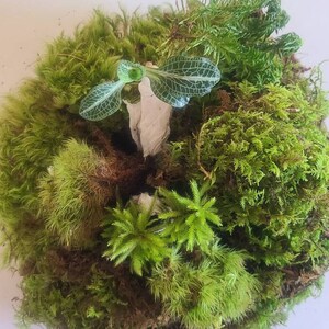 Etsy-köpare lade till en bild av sitt köp