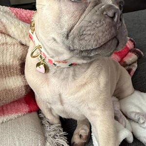 Laurie さんが購入した商品の写真を追加しました
