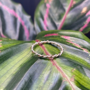 Carissa added a photo of their purchase