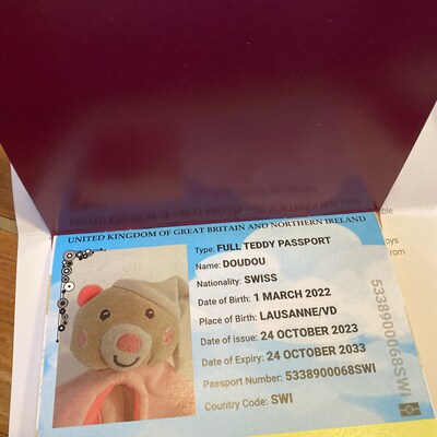 Teddy Bear Passport USA personalised Inc Photo - Etsy