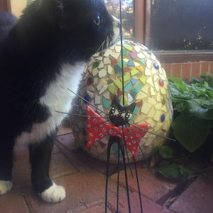 Lollipops ha añadido una foto de su compra