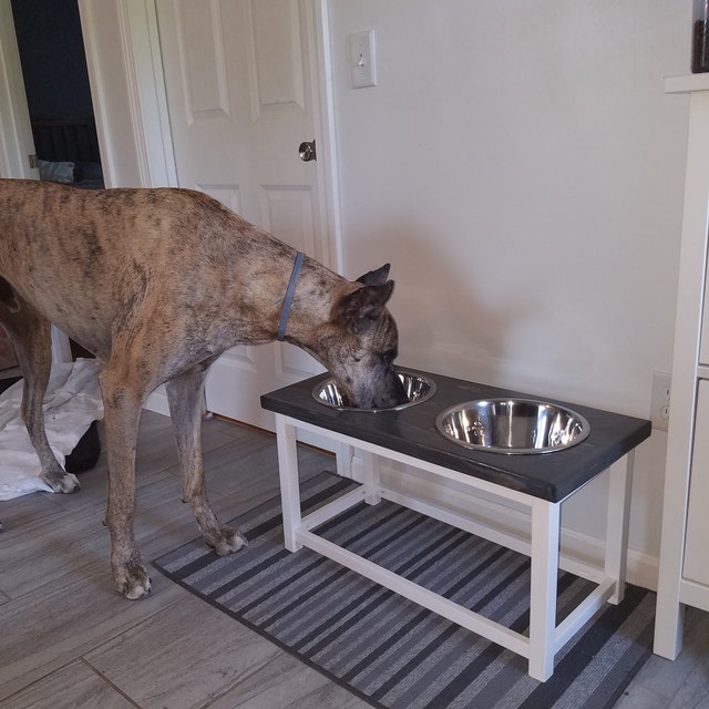 Elevated Dog Bowls for Large or Extra Large Dog. Great Dane, Saint