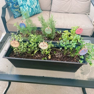 Jennifer added a photo of their purchase