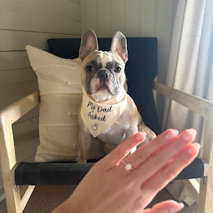Sophie hat ein Foto des gekauften Artikels hinzugefügt