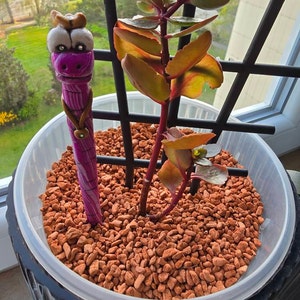 Nicole added a photo of their purchase