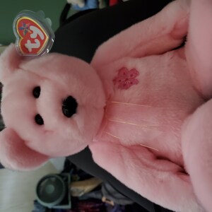 Ty Beanie Buddy “sakura” the Pink Bear - Japan Exclusive