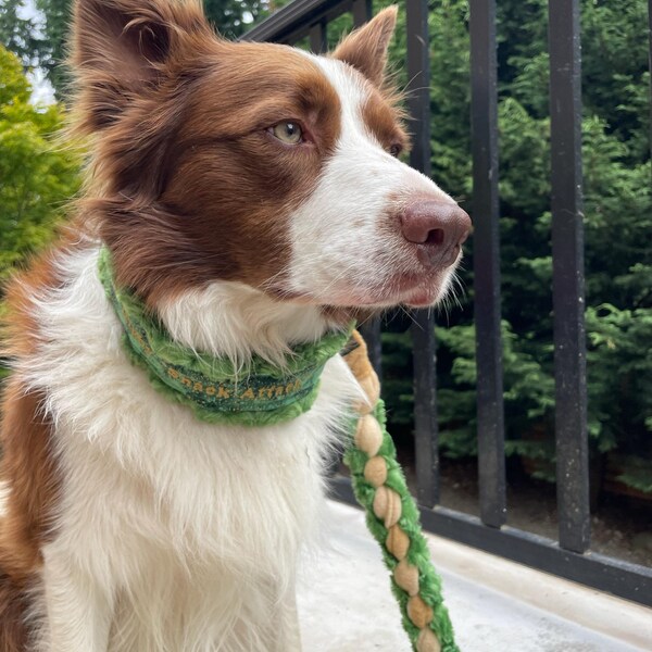 Custom Ribbon Display, Dog Award Ribbon Display Rack, Dog Rosette ...