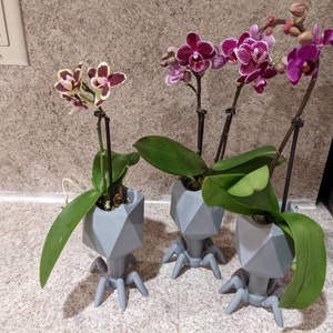 Jennifer added a photo of their purchase