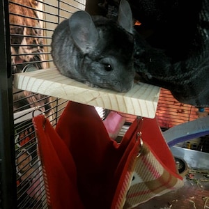 Stacy added a photo of their purchase