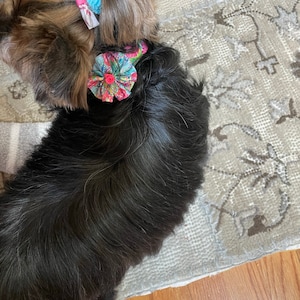Tina added a photo of their purchase