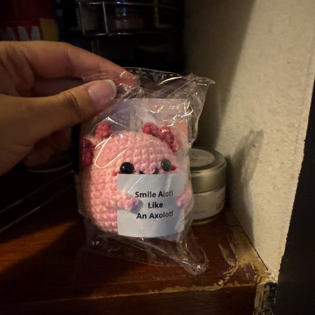 Générique Crochet Axolotl Positif - Soutien émotionnel Axolotl | Crochet De Soutien émotionnel Mignon | Peluche De Soutien émotionnel | Inspirante Tricotée | Jouets D'émotion Doux Et Mignons