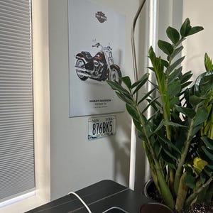 Vadim added a photo of their purchase