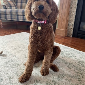Olivia added a photo of their purchase
