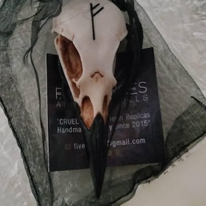 Elya added a photo of their purchase