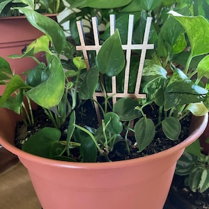 Michele added a photo of their purchase