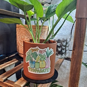 Maia added a photo of their purchase