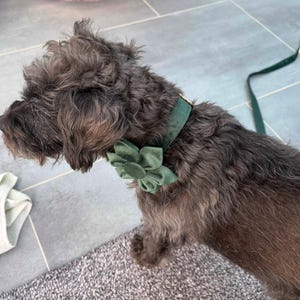 Diane added a photo of their purchase