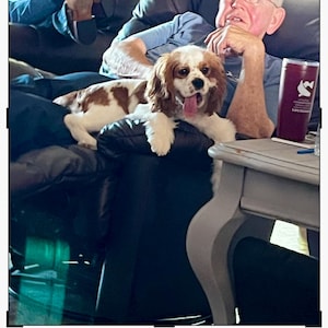 Connie ha añadido una foto de su compra