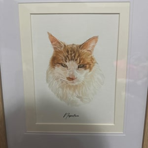 Christabel added a photo of their purchase
