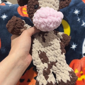 Rachel added a photo of their purchase