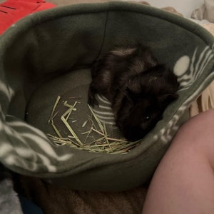 Darcie added a photo of their purchase