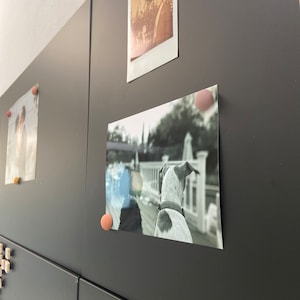 Leslie ha aggiunto una foto del proprio acquisto