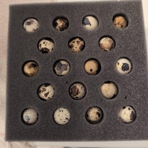 Cynthia added a photo of their purchase