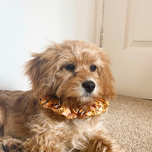 Lily added a photo of their purchase