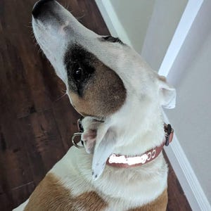 Etsy buyer added a photo of their purchase