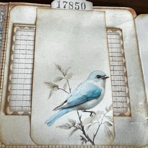 Dirkje added a photo of their purchase