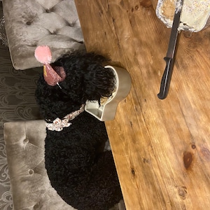 Mrs added a photo of their purchase