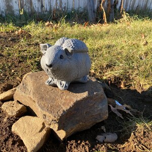 Radchester Guinea Pig Concrete Garden Ornament – Pet Memorial Figure – Frost Resistant – Small/Large