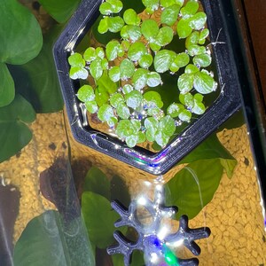 Shelbie added a photo of their purchase