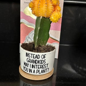 Dylan added a photo of their purchase