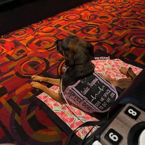 Azzy added a photo of their purchase