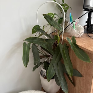 Alex added a photo of their purchase
