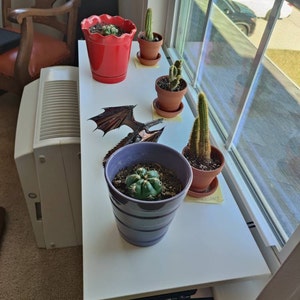 Phillip added a photo of their purchase