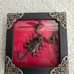 mika added a photo of their purchase