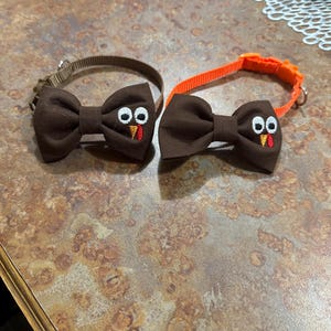 Paola added a photo of their purchase