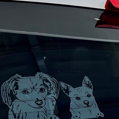 Pet Welcome Sign/ Pet Door Sign/ Dog Door Sign/pet Portrait Wreath/ Dog ...