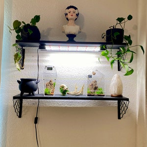 Diana added a photo of their purchase