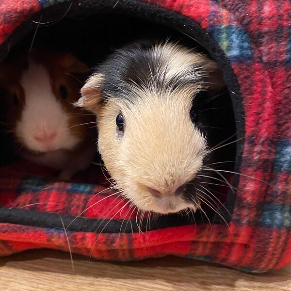 Thumbnail for Thick Guinea Pig Fleece