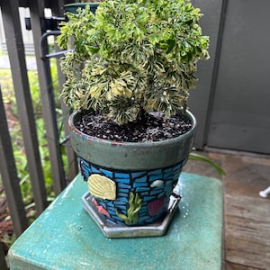 Carol added a photo of their purchase