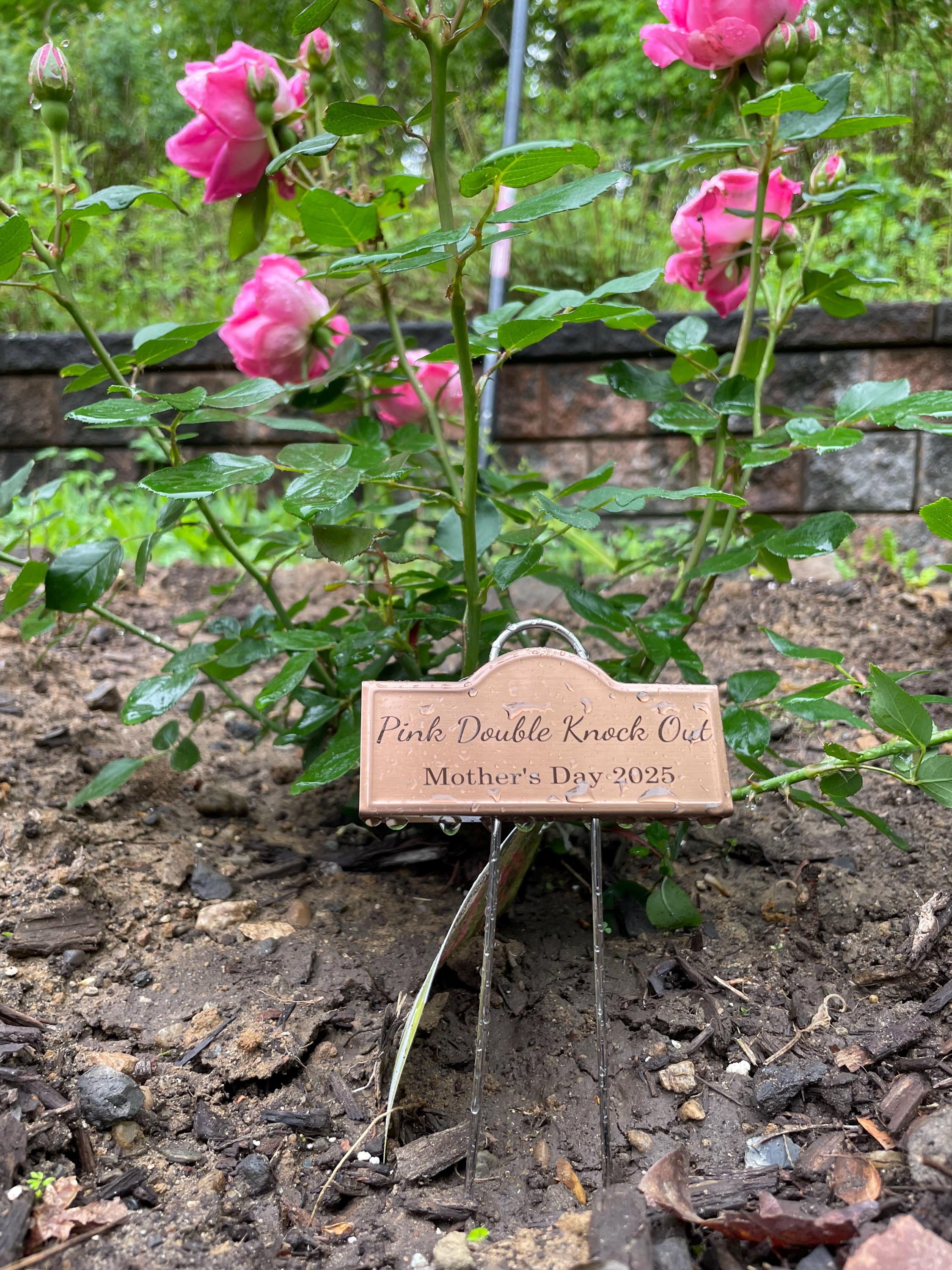 Custom Laser Engraved Copper Plant Rose Markers Stakes Garden Accessories