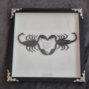 Rosette added a photo of their purchase